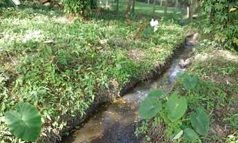 Imagem 5: REF. 331 Terreno à venda no Bairro Ratones, Florianópolis - SC