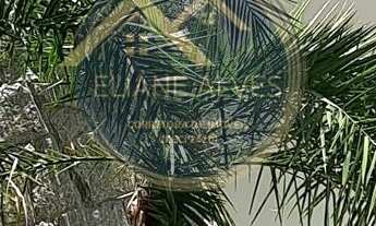 Imagem: Casa no bairro Bosque Da Mata - Tijucas/SC