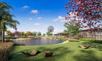 Imagem 6: Lotes na planta com condições de pré-lançamento!!