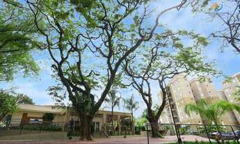 Imagem 4: Apartamento Novo de 3 dorms com 2 vagas em Campinas - últimas unidades!