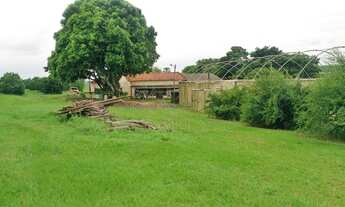 Imagem 7: Seu Sonho Rural em Conchal: Propriedade de 72.600 m² com Infraestrutura Completa!