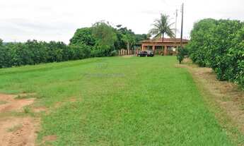 Imagem 6: Seu Sonho Rural em Conchal: Propriedade de 72.600 m² com Infraestrutura Completa!