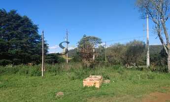 Imagem 3: Terreno Colônia Municipal