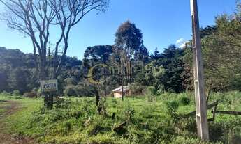 Imagem: Terreno Colônia Municipal