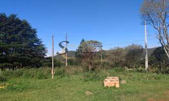 Imagem 2: Terreno Colônia Municipal