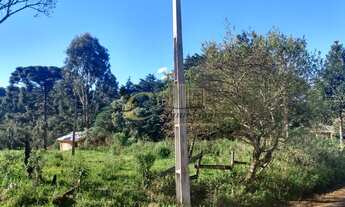 Imagem 4: Terreno Colônia Municipal