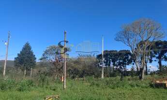 Imagem 5: Terreno Colônia Municipal