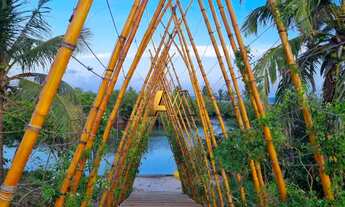 Imagem 6: Terreno à venda no bairro IMBASSAÍ - Mata de São João/BA