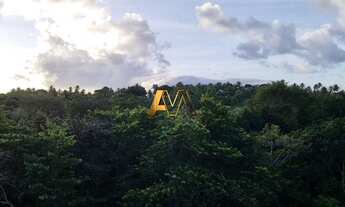 Imagem 6: TERRENO EM PRAIA DO FORTE