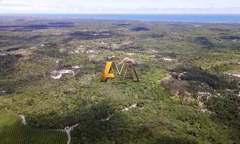 Imagem 6: SÍTIO EM MATA DE SÃO JOÃO