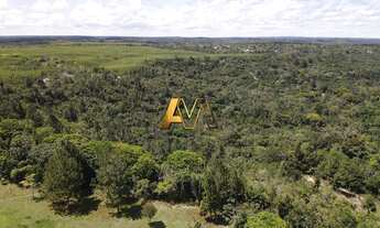 Imagem 4: SÍTIO EM MATA DE SÃO JOÃO