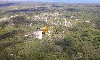 Imagem 7: SÍTIO EM MATA DE SÃO JOÃO