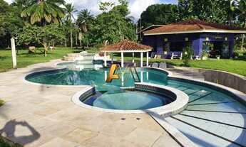 Imagem 2: FAZENDA EM SÃO ROQUE DO PARAGUAÇU