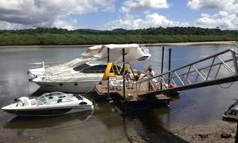 Imagem 6: FAZENDA EM SÃO ROQUE DO PARAGUAÇU