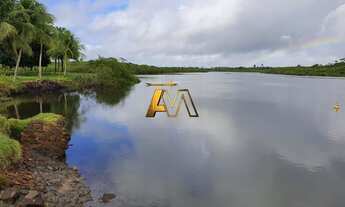 Imagem 7: FAZENDA EM SÃO ROQUE DO PARAGUAÇU