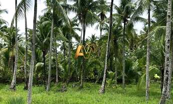 Imagem 2: Terreno à venda no bairro Morro de São Paulo - Cairu/BA