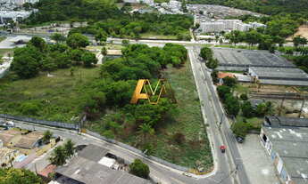 Imagem 4: TERRENO EM ABRANTES