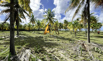 Imagem 2: TERRENO DE 17.000m² FRENTE MAR EM BUSCA VIDA