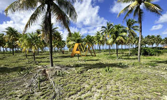 Imagem 3: TERRENO DE 17.000m² FRENTE MAR EM BUSCA VIDA