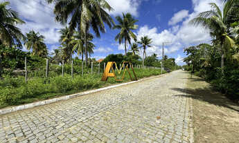 Imagem 5: TERRENO DE 17.000m² FRENTE MAR EM BUSCA VIDA