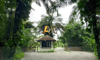 Imagem 3: TERRENO EM PRAIA DO FORTE