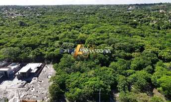Imagem: Terreno à venda no bairro Guarajuba (Monte