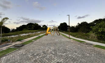 Imagem 3: TERRENO EM BUSCA VIDA