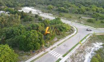 Imagem 2: TERRENO EM BUSCA VIDA