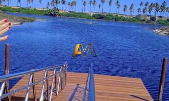 Imagem 7: ÓTIMO TERRENO PLANO E NASCENTE EM SAUÍPE