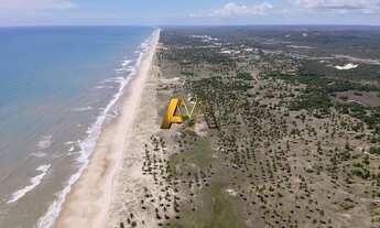 Imagem 5: Terreno à venda no bairro Mangue Seco - Jandaíra/BA