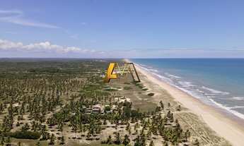 Imagem 7: Terreno à venda no bairro Mangue Seco - Jandaíra/BA