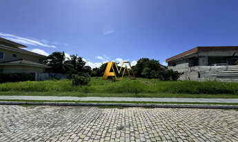 Imagem: TERRENO EM BUSCA VIDA