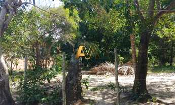 Imagem: Terreno à venda no bairro IMBASSAÍ - Mata