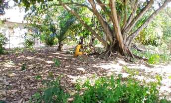 Imagem 5: Terreno à venda no bairro IMBASSAÍ - Mata de São João/BA