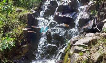 Imagem: Sítio à venda no bairro Sertão do Cangueri