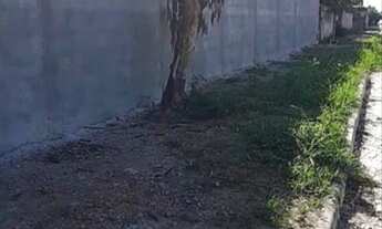 Imagem: Galpão à Venda no Bairro Campo Belo