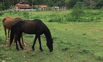 Imagem 4: Lote à Venda em Penedo com Linda Vista