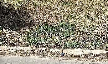 Imagem 3: Terreno em Loteamento em Residencial Jardim Nazaré I, Guarulhos/SP