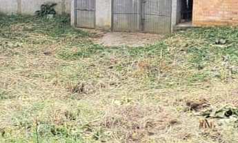 Imagem 7: Chácara proximo Água Azul - Oportunidade !!!