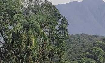 Imagem 3: Terreno em Sapitanduva, Morretes/PR
