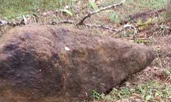 Imagem 7: Terreno em Sapitanduva, Morretes/PR