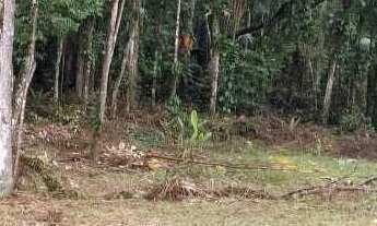 Imagem 2: Terreno em Sapitanduva, Morretes/PR