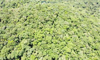 Imagem 7: Terreno com 6,35 alqueires (15,38 hec.) Documentação, Matricula e Registro Morretes-PR