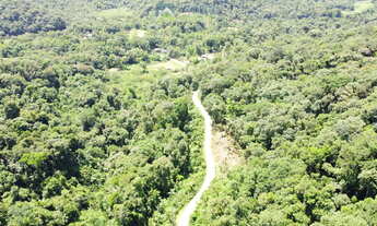 Imagem 4: Terreno com 6,35 alqueires (15,38 hec.) Documentação, Matricula e Registro Morretes-PR