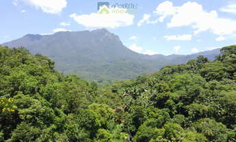 Imagem: Terreno com 6,35 alqueires (15,38 hec.)