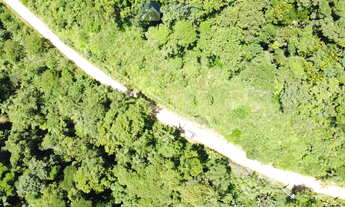 Imagem 6: Terreno com 6,35 alqueires (15,38 hec.) Documentação, Matricula e Registro Morretes-PR