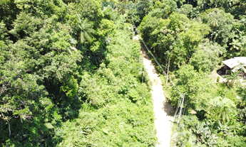 Imagem 2: Terreno com 6,35 alqueires (15,38 hec.) Documentação, Matricula e Registro Morretes-PR