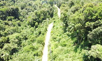 Imagem 3: Terreno com 6,35 alqueires (15,38 hec.) Documentação, Matricula e Registro Morretes-PR