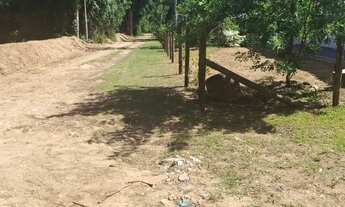 Imagem 5: Chácara no Condomínio 600m² de terreno, casa com 3 quartos em Morretes/PR