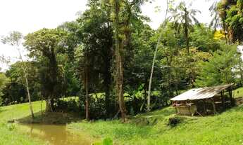 Imagem 5: Chácara (pequeno sítio) com 22.344m² na Sesmaria em Morretes/PR -DOCUMENTADA